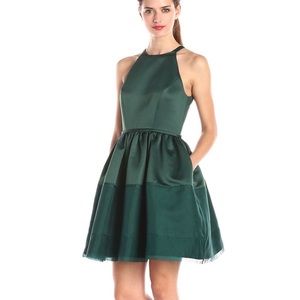 Erin by Erin Featherston Illusion Halter dress